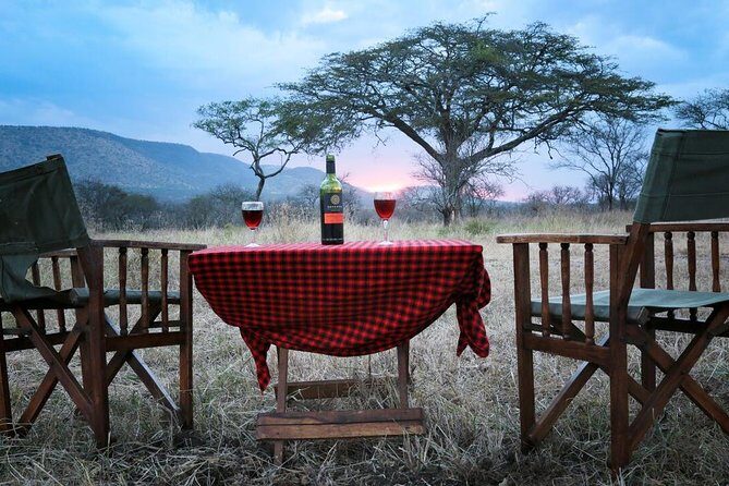 4-Days Adventure Camping Safari to Tarangire, Serengeti & Ngorongoro - Who Is This Tour Best For?