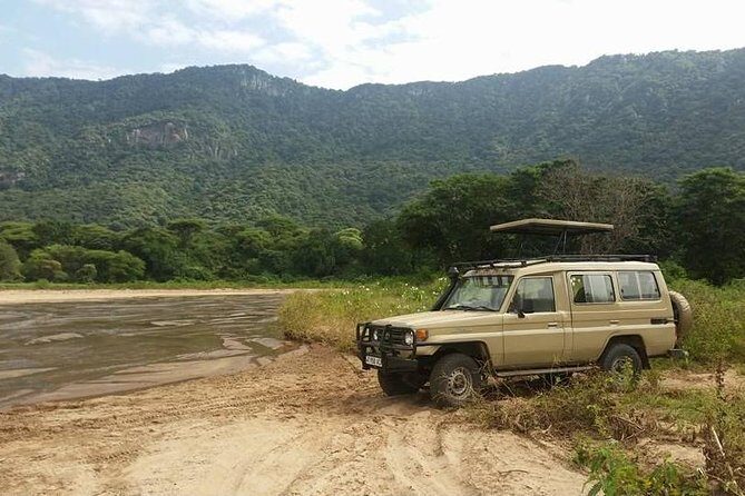 4 Days Affordable Tanzania Budget Safari - Final Thoughts: Who Is This Safari Perfect For?