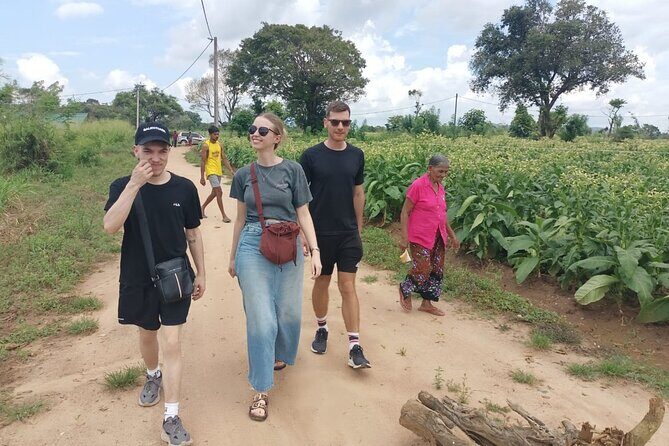 4 Days Amaizing Classic Mini Tour Sri Lanka - Key Points