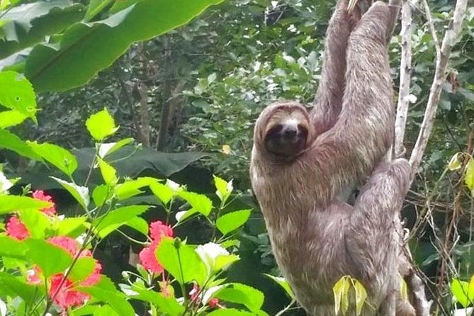 4-days-amazon-jungle-tour-with-pink-dolphin-watch-from-iquitos