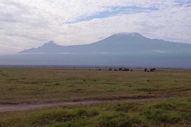 4 Days Amboseli & Tsavo West Wildlife Safari - 4 Days Amboseli & Tsavo West Wildlife Safari Review: An Authentic Kenyan Adventure