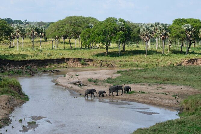 4 Days and 3 Nights Safaris in Murchison Falls National Park Tour - Possible Considerations