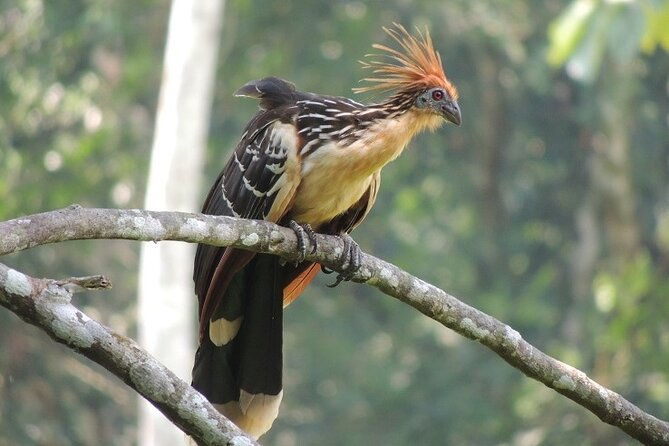 4-days-andes-and-amazon-journey