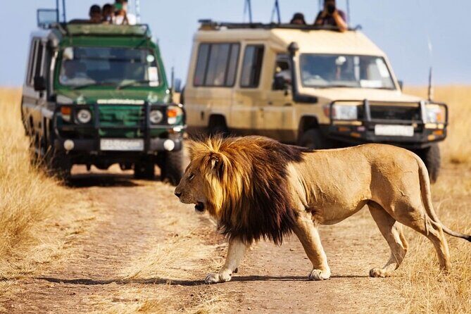 4 days Awesome Luxury safari Tarangire Serengeti & Ngorongoro - Exploring the Safari Itinerary