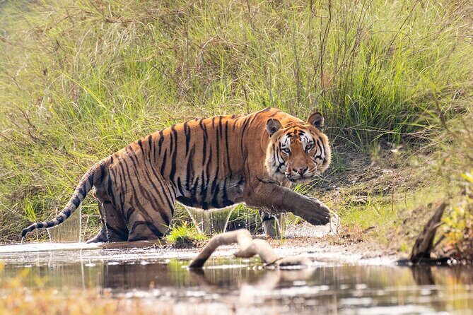 4 Days Bardia National Park Tour - Key Points