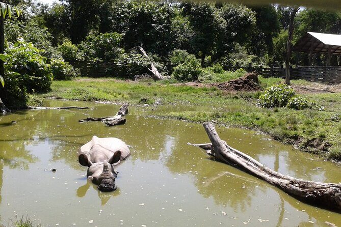 4 Days Bardia National Park Tour - An In-Depth Look at the 4 Days Bardia National Park Tour