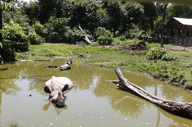 4 Days Bardia National Park Tour - FAQs About the 4 Days Bardia National Park Tour
