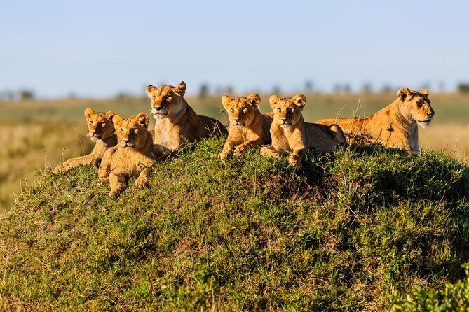 4 Days Best Budget Tanzania Camping Safaris - Final Thoughts