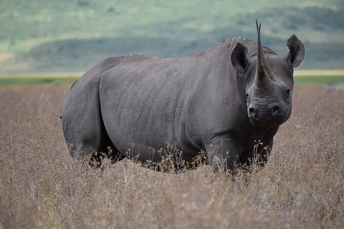 4: days Big five safari - FAQ