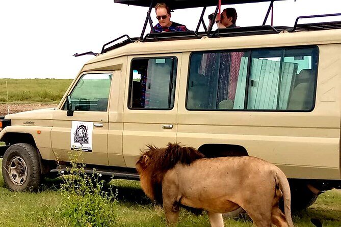 4 Days Budget Camp Safari Serengeti, Ngorongoro Crater and Tarangire Park - The Itinerary Breakdown: What to Expect Each Day