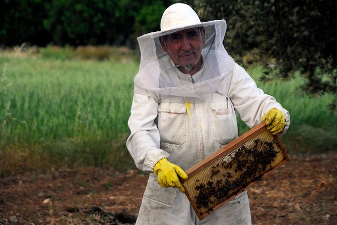 4-days-classical-private-tour-corinthmycenaenafpliospartaolympiadelphi