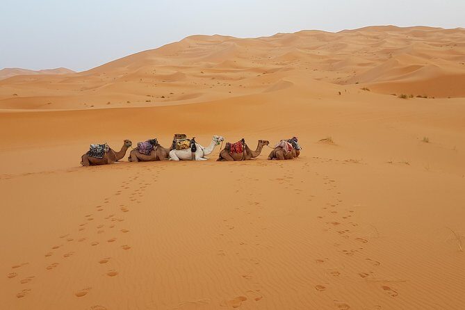 4 Days Desert tours from Marrakech - Key Points