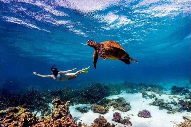 4 Days Diani Beach Holiday Package with SGR Train ( minimum 2 persons) - Key Points