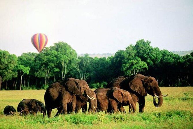 4 Days Enthralling Safaris in Kenya-lake Nakuru Masai Mara - Final Thoughts