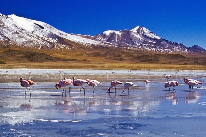 4-days-experience-at-uyuni-salt-flat-from-san-pedro-de-atacama