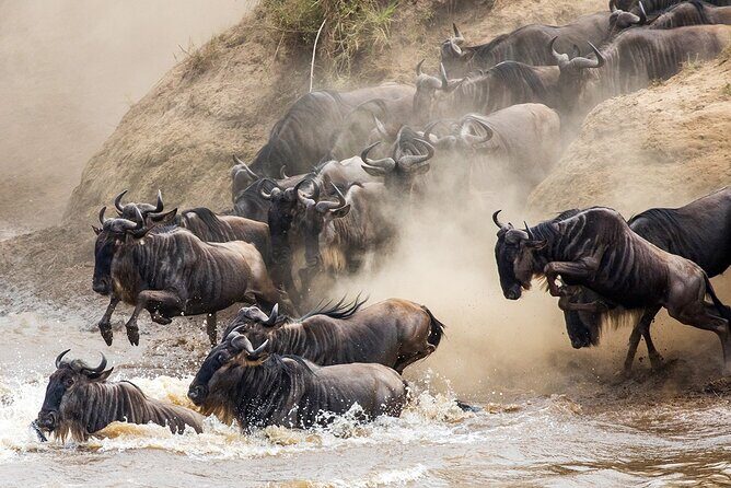 4 Days Experience big five in Tarangire, Serengeti & Ngorongoro Safari - Final Thoughts
