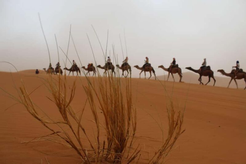 4 Days From Marrakech to Fes Via Merzouga Sahara Tour - Practical Tips for Travelers