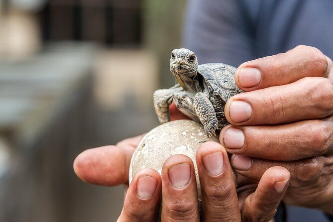 4-days-galapagos-essential-budget-tour