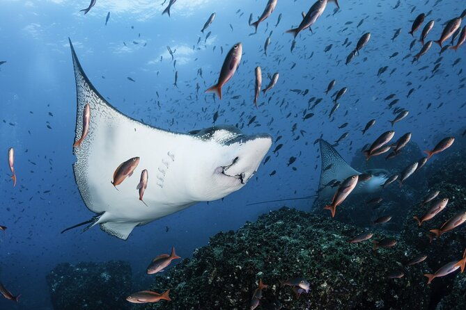4-days-galapagos-essential-budget-tour