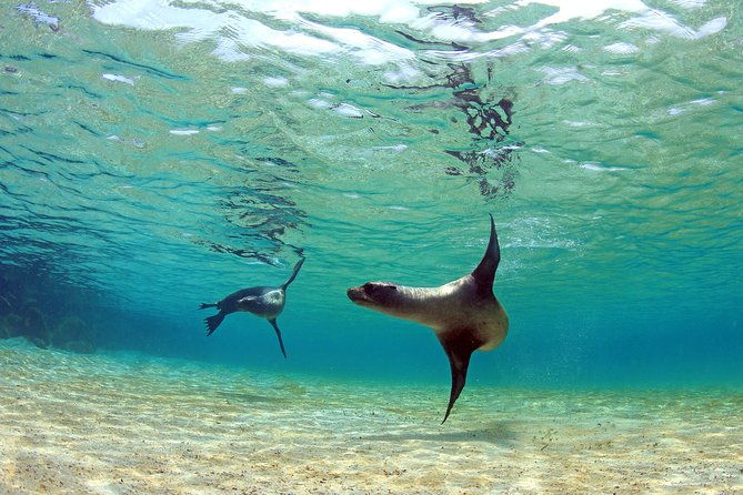 4-days-galapagos-essential-budget-tour