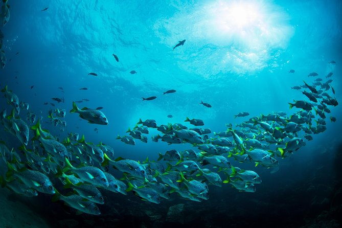 4-days-galapagos-essential-budget-tour