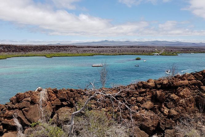 4-days-galapagos-isabela-islands-and-santa-cruz