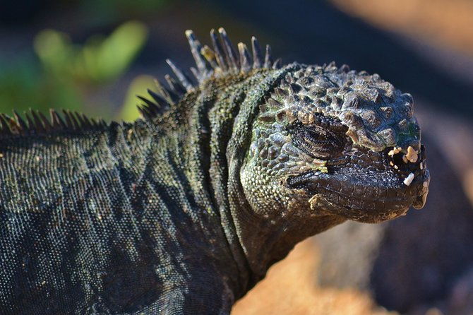 4-days-galapagos-total-experience-tour