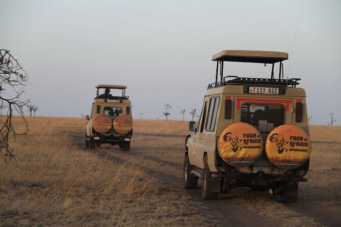 4 Days Game drives Safari Tarangire, Serengeti and Ngorongoro Crater - What Sets This Tour Apart?