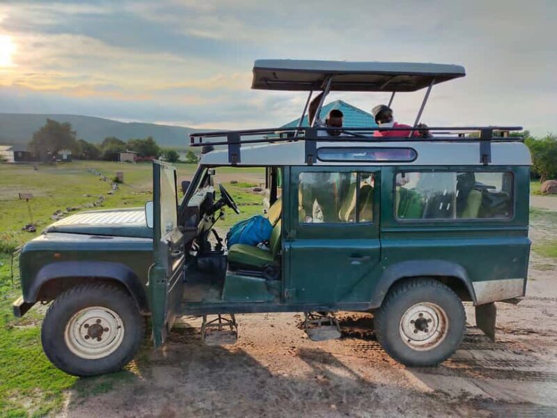 4 Days Gorilla and Volcanoes in Kisoro - Why This Tour is a Great Choice