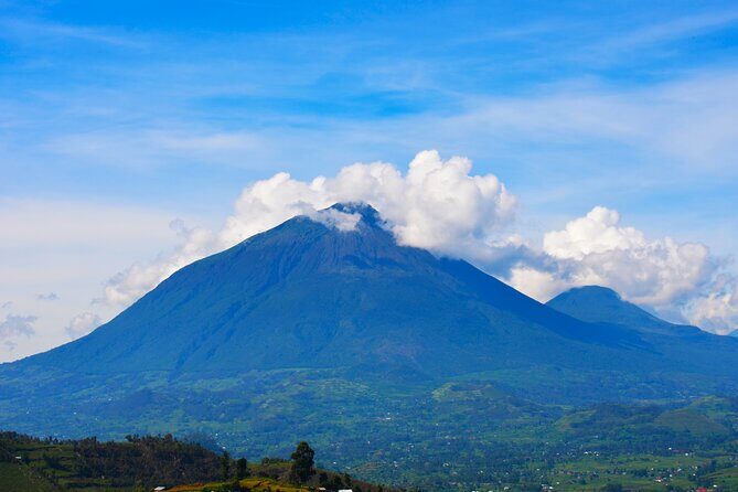 4 Days Gorilla tracking Tour in Uganda - Who Is This Tour Best For?  