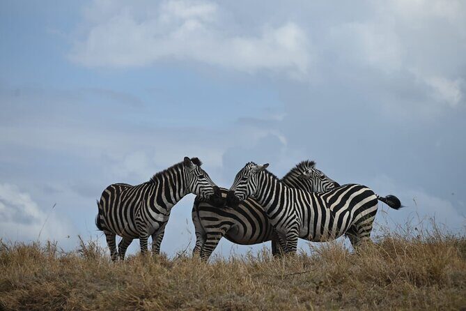 4 Days Group Camping Safari - The Itinerary: A Day-by-Day Breakdown