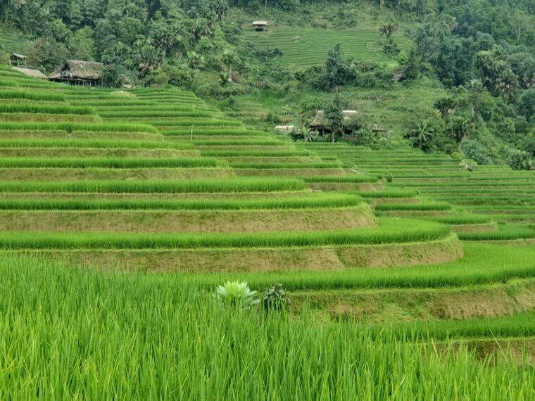 4-days-ha-giang-hoang-su-phi-kingdom-of-terraced-with-rider