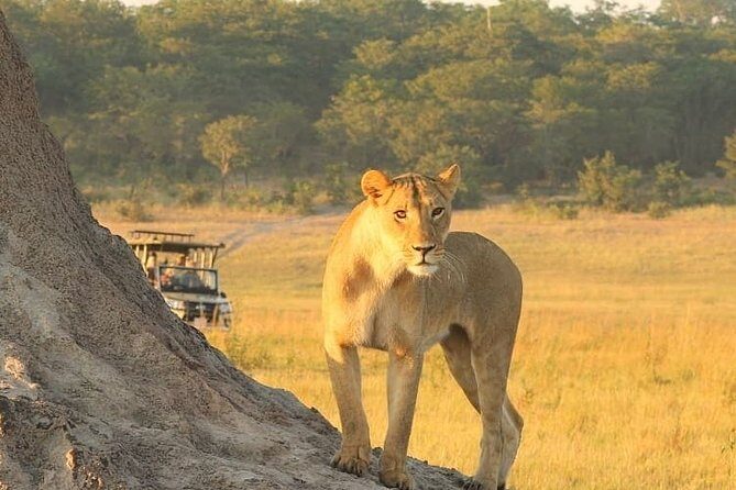 4 days Hwange Safari Game drive Staying at Iganyane Tented camp - FAQs