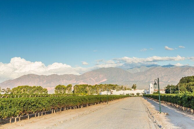 4-days-in-salta-humahuaca-valley-wineries-in-cafayate