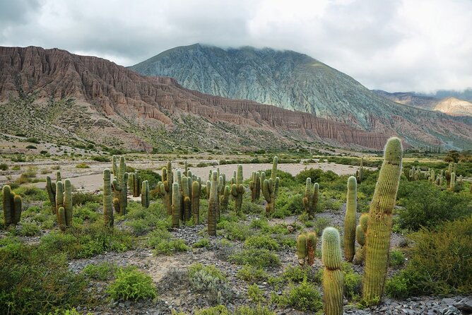 4-days-in-salta-humahuaca-valley-wineries-in-cafayate