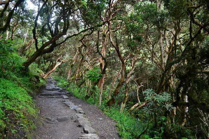 4-days-inca-trail-to-machu-picchu