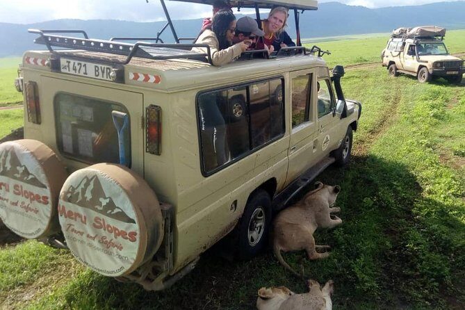 4 Days Join Group tour Tarangire Serengeti and Ngorongoro crater - Final Thoughts