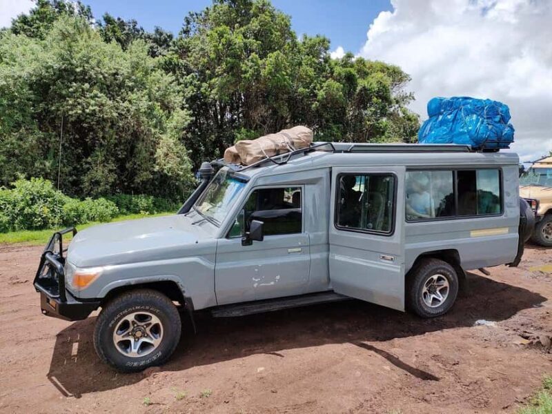 4 Days Join-In Safari: Big Five & Great Plains - An In-Depth Look at the 4-Day Safari Experience
