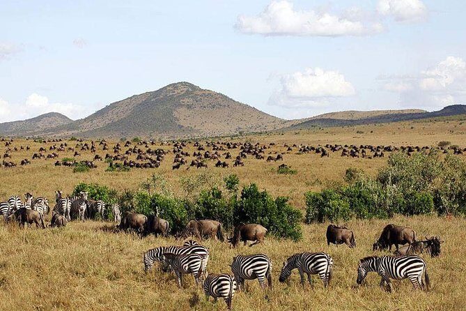 4 Days Kenya Safari - Detailed Review of the Kenya Safari Experience