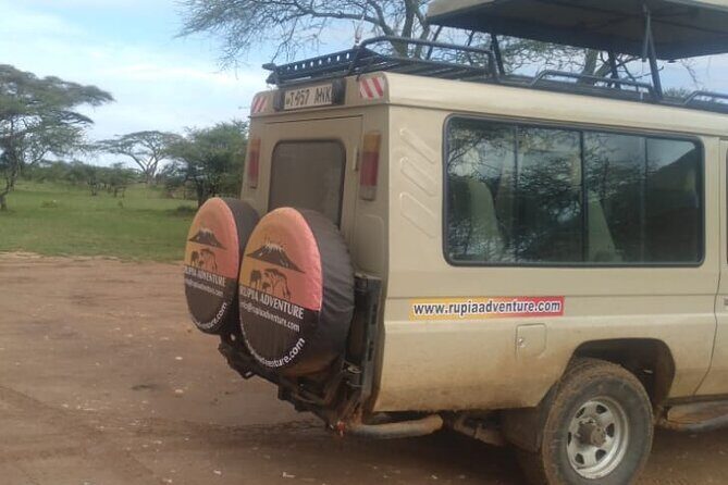 4 Days Kenya Safari - Who Should Consider This Safari?