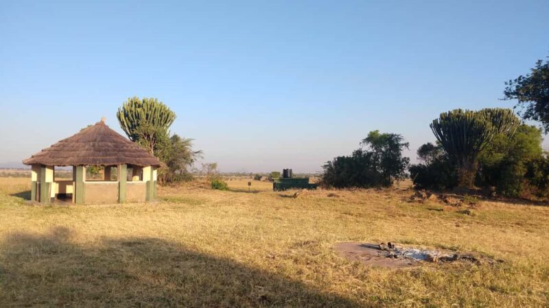 4 Days Kidepo Valley National Park Safari - Final Thoughts