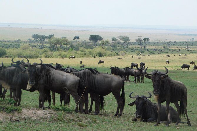 4 Days Kilimanjaro Experience - Mombasa - FAQ
