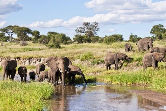 4 Days Lake Manyara National Park, Ngorongoro Crater , Serengeti National Park. - Overview of the Tour Experience