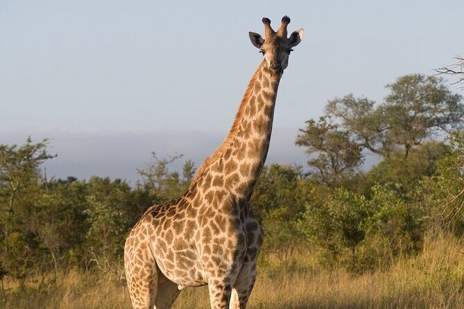4 Days - Lake Manyara, Serengeti and Ngorongoro Crater - FAQ 