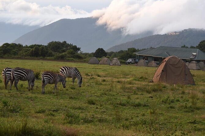 4 Days lodge &camping Tarangire,Serengeti, Ngorongoro Safari Tour - Frequently Asked Questions