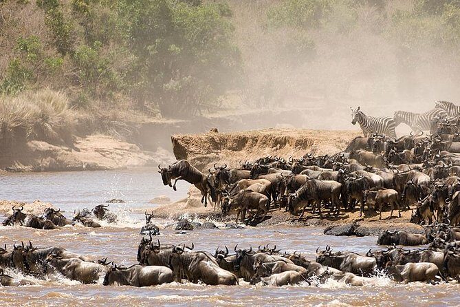 4 Days Luxury Lodge Safari Tour Tanzania - In-Depth Review of the 4-Day Tanzania Safari