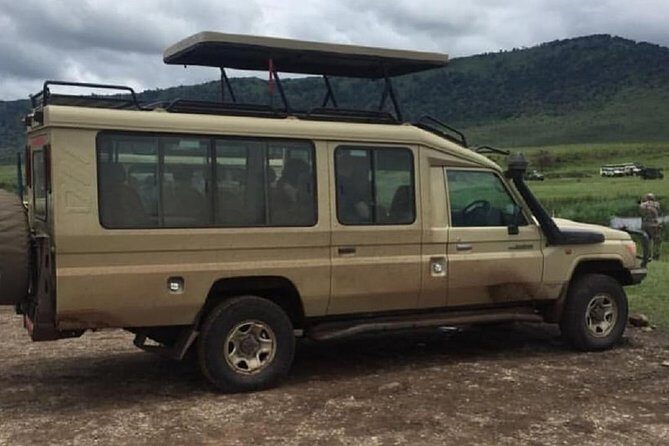 4 days luxury safari (a dream experience) - The Itinerary Breakdown: What to Expect on Your 4-Day Safari