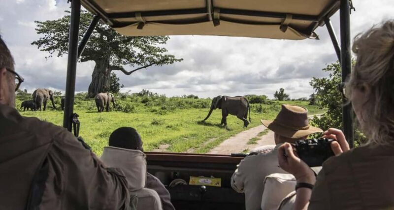4 Days Magical Adventure to Manyara, Ngorongoro & Serengeti - Is This Tour Worth It?