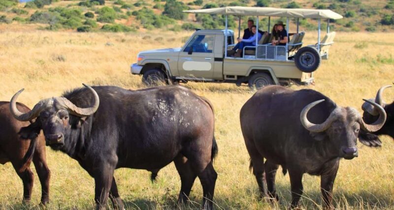 4 Days Magical Adventure to Manyara, Ngorongoro & Serengeti - FAQs