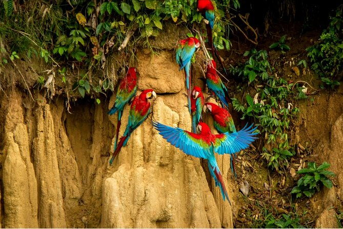 4-days-manu-park-tour